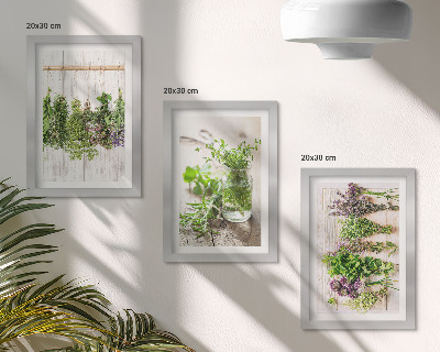 Conjunto de molduras com imagens Secar ervas e plantas para a cozinha.