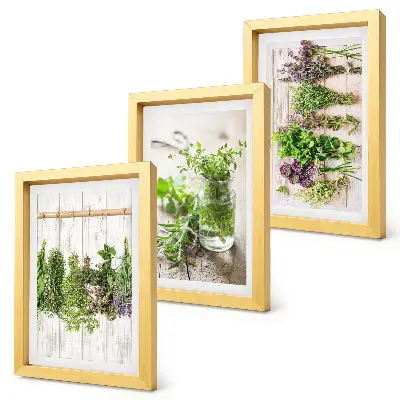 Conjunto de molduras com imagens para secar ervas e plantas na cozinha