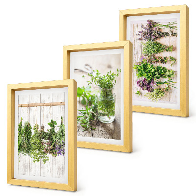 Conjunto de molduras com imagens Secar ervas e plantas para a cozinha.