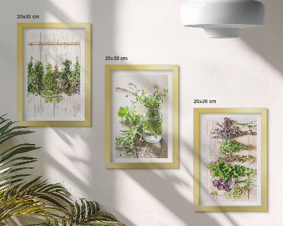 Conjunto de molduras com imagens Secar ervas e plantas para a cozinha.