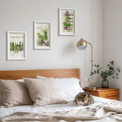 Conjunto de molduras com imagens para secar ervas e plantas na cozinha
