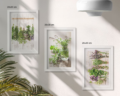 Conjunto de molduras com imagens Secar ervas e plantas para a cozinha.