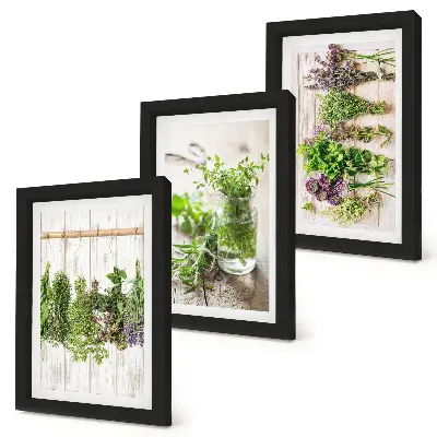 Conjunto de molduras com imagens para secar ervas e plantas na cozinha