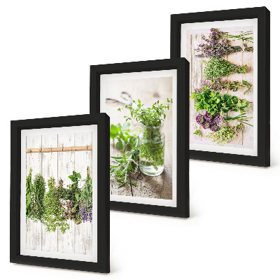 Conjunto de molduras com imagens Secar ervas e plantas para a cozinha.