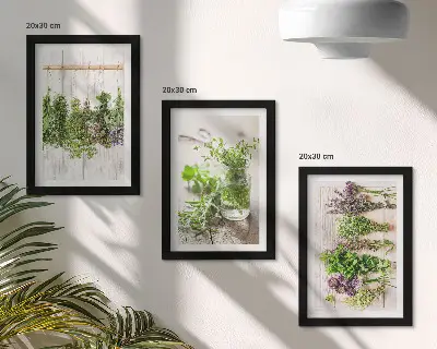 Conjunto de molduras com imagens para secar ervas e plantas na cozinha