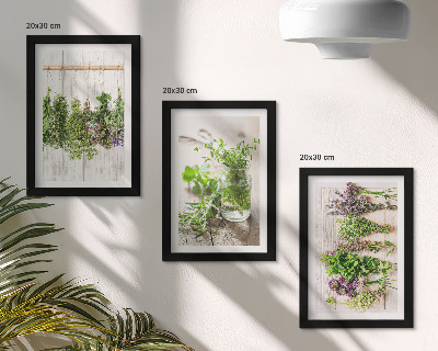 Conjunto de molduras com imagens Secar ervas e plantas para a cozinha.