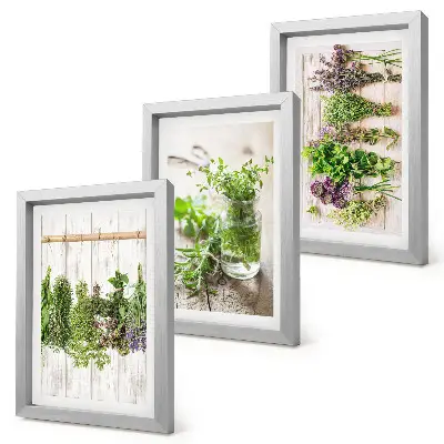 Conjunto de molduras com imagens para secar ervas e plantas na cozinha