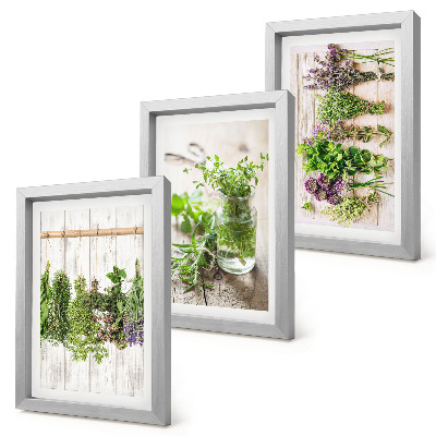Conjunto de molduras com imagens Secar ervas e plantas para a cozinha.