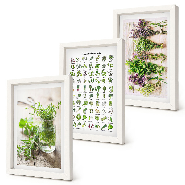 Tríptico com moldura Plantas secas para a lista de ervas culinárias