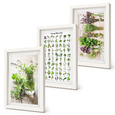 Tríptico com moldura Plantas secas para a lista de ervas culinárias