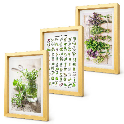 Tríptico com moldura Plantas secas para a lista de ervas culinárias