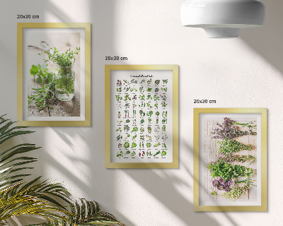 Tríptico com moldura Plantas secas para a lista de ervas culinárias
