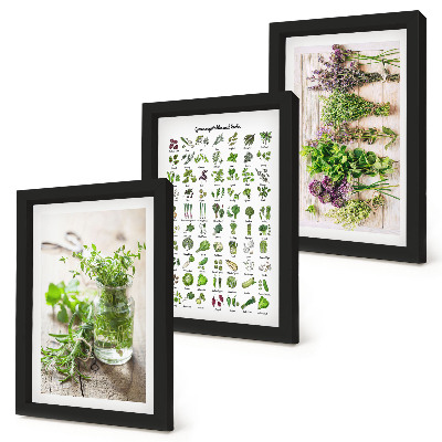Tríptico com moldura Plantas secas para a lista de ervas culinárias