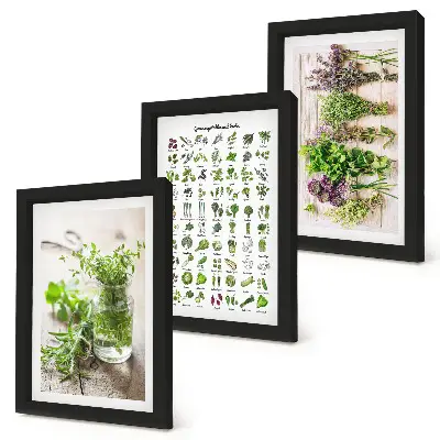 Tríptico com moldura plantas secas para lista de ervas culinárias