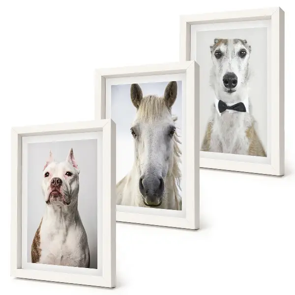 Conjunto de 3 quadros decorativos com retratos elegantes de cães e cavalos