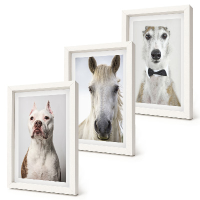 Conjunto de 3 quadros decorativos Retratos interessantes de cães e cavalos em um estilo elegante.