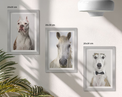 Conjunto de 3 quadros decorativos Retratos interessantes de cães e cavalos em um estilo elegante.