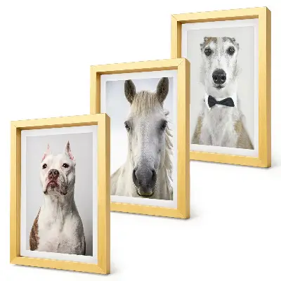 Conjunto de 3 quadros decorativos com retratos elegantes de cães e cavalos
