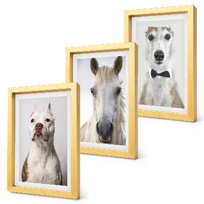 Conjunto de 3 quadros decorativos Retratos interessantes de cães e cavalos em um estilo elegante.