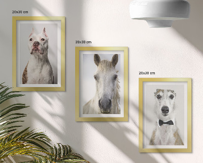 Conjunto de 3 quadros decorativos Retratos interessantes de cães e cavalos em um estilo elegante.