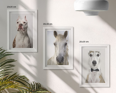 Conjunto de 3 quadros decorativos Retratos interessantes de cães e cavalos em um estilo elegante.