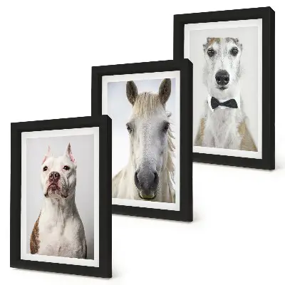 Conjunto de 3 quadros decorativos com retratos elegantes de cães e cavalos