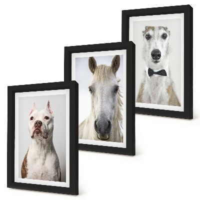 Conjunto de 3 quadros decorativos Retratos interessantes de cães e cavalos em um estilo elegante.
