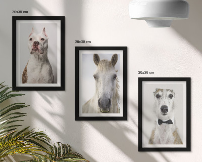 Conjunto de 3 quadros decorativos Retratos interessantes de cães e cavalos em um estilo elegante.