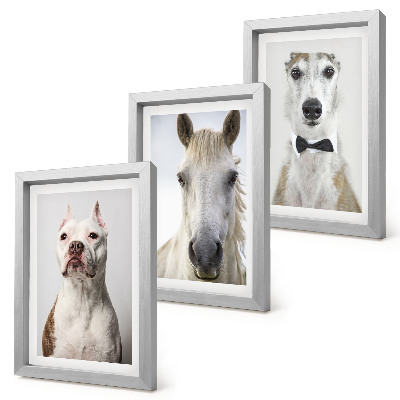 Conjunto de 3 quadros decorativos Retratos interessantes de cães e cavalos em um estilo elegante.