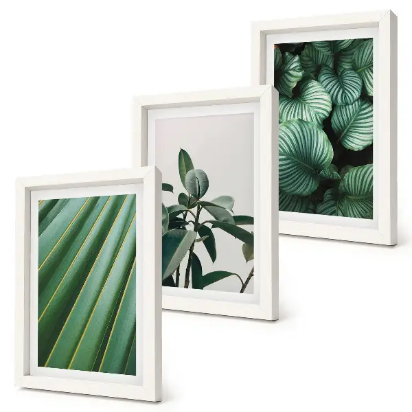 Conjunto de 3 quadros decorativos com estampas de folhas tropicais em vários tons de verde
