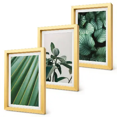 Conjunto de 3 quadros decorativos com estampas de folhas tropicais em vários tons de verde