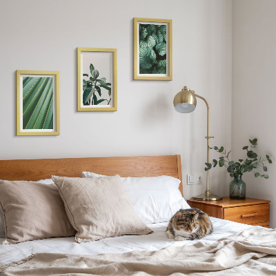 Conjunto de 3 quadros decorativos Folhas tropicais estéticas em vários tons de verde.