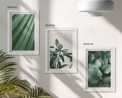 Conjunto de 3 quadros decorativos Folhas tropicais estéticas em vários tons de verde.