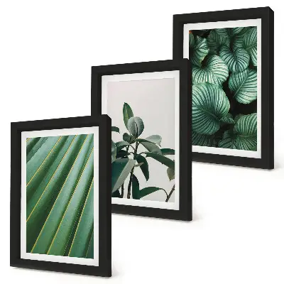 Conjunto de 3 quadros decorativos com estampas de folhas tropicais em vários tons de verde