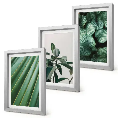 Conjunto de 3 quadros decorativos com estampas de folhas tropicais em vários tons de verde