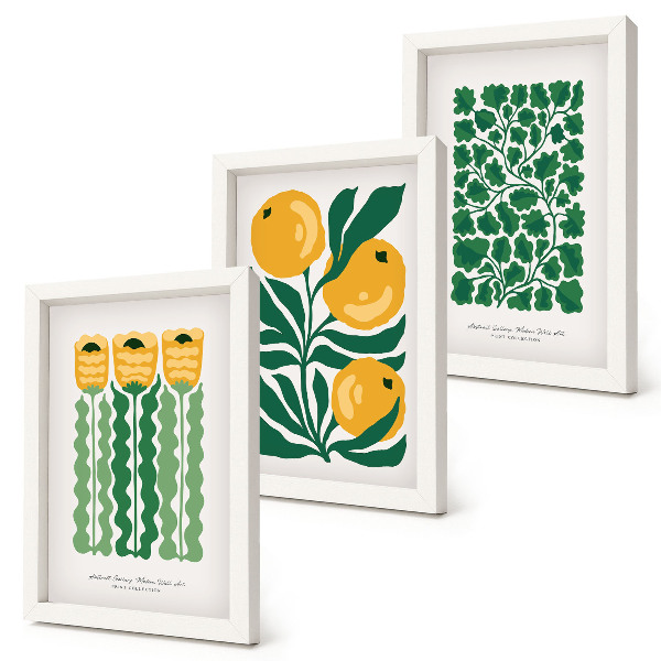 Conjunto de molduras com imagens Pôsteres com estampas de plantas, flores e folhas