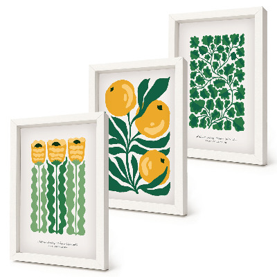 Conjunto de molduras com imagens Pôsteres com estampas de plantas, flores e folhas