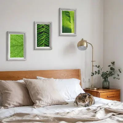 Conjunto de quadros com imagens de folhas tropicais em close-up