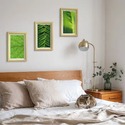 Conjunto de quadros com imagens de folhas tropicais em close-up
