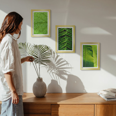 Conjunto de molduras com imagens Imagens em close-up de folhas tropicais