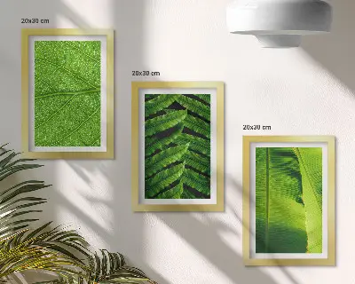 Conjunto de quadros com imagens de folhas tropicais em close-up