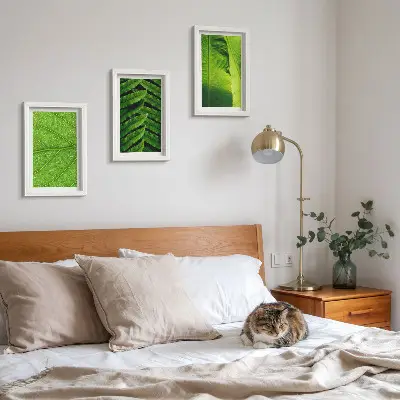 Conjunto de quadros com imagens de folhas tropicais em close-up