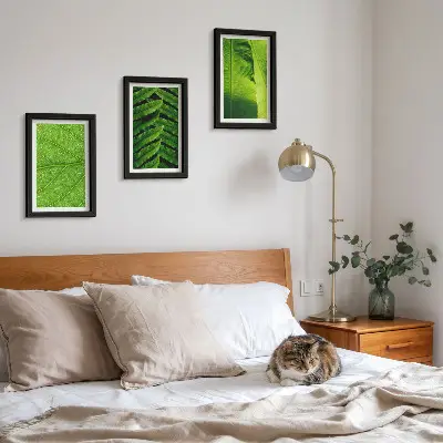 Conjunto de quadros com imagens de folhas tropicais em close-up