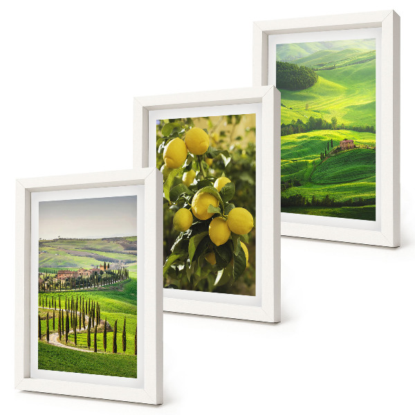 Conjunto de molduras com imagens Paisagens italianas com laranjeiras e colinas verdejantes.