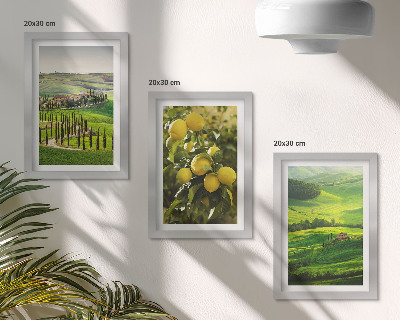 Conjunto de molduras com imagens Paisagens italianas com laranjeiras e colinas verdejantes.