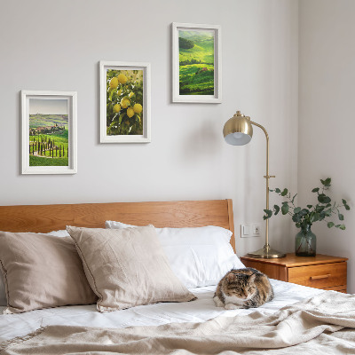 Conjunto de molduras com imagens Paisagens italianas com laranjeiras e colinas verdejantes.
