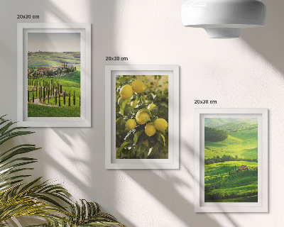 Conjunto de molduras com imagens Paisagens italianas com laranjeiras e colinas verdejantes.