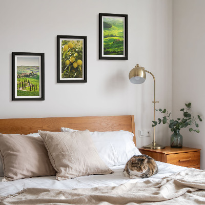 Conjunto de molduras com imagens Paisagens italianas com laranjeiras e colinas verdejantes.
