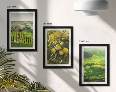 Conjunto de molduras com imagens Paisagens italianas com laranjeiras e colinas verdejantes.