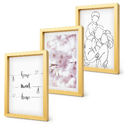 Conjunto de 3 quadros decorativos Flores e família em um design minimalista